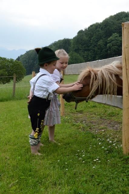 Cafe Wastelbauerhof - Urlaub Auf Dem Bauernhof Séjour à la ferme Bernau am Chiemsee